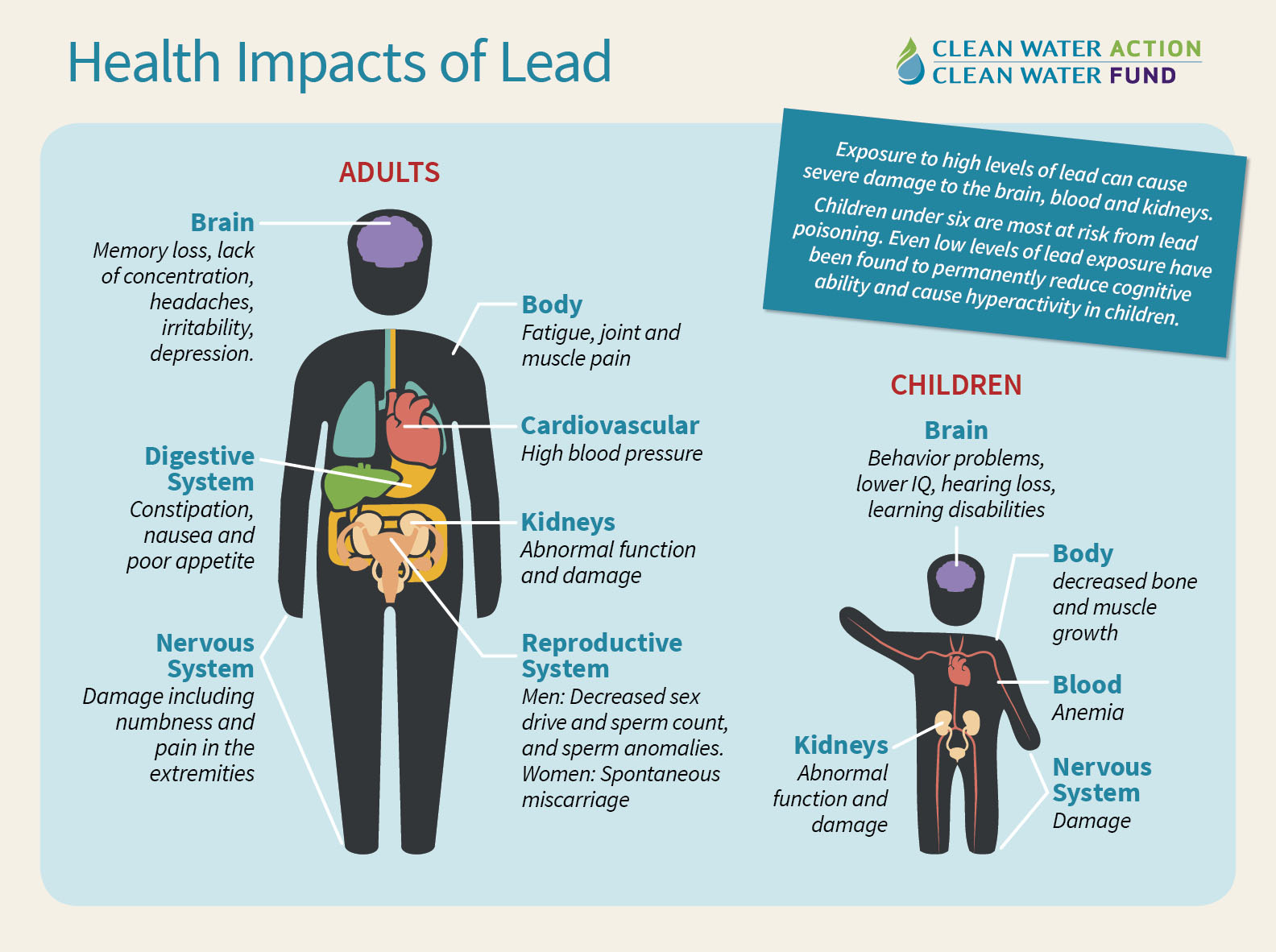 Minnesota Guide to Lead in Our Drinking Water and Lead Service Lines